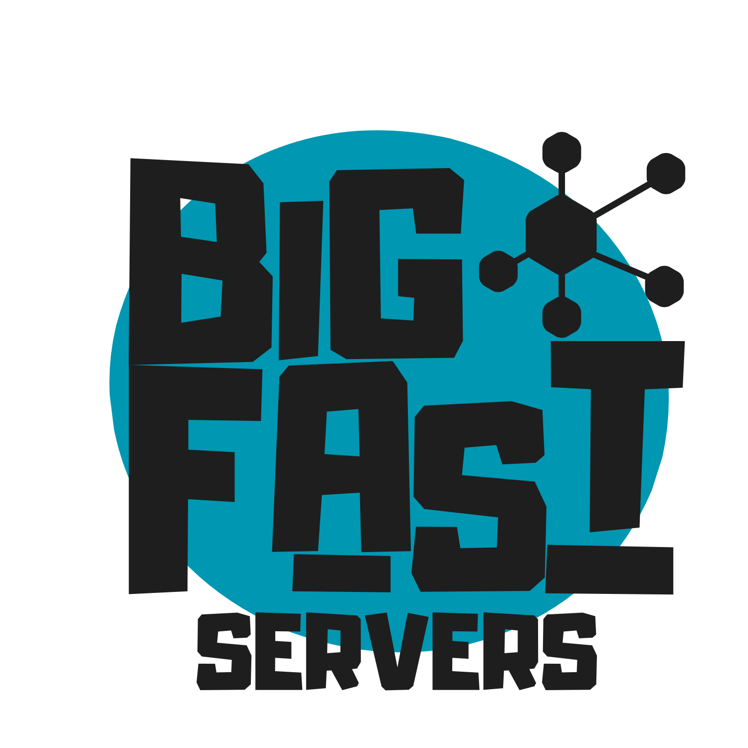 Big Fast Servers - Your Home For Servers and Server Add-Ons